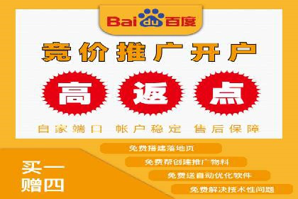 推广竞价策略优化：借鉴成功案例实现高效转化